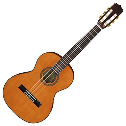 ARIA アリア ミニクラシックギター ソフトケース付 A-20-58