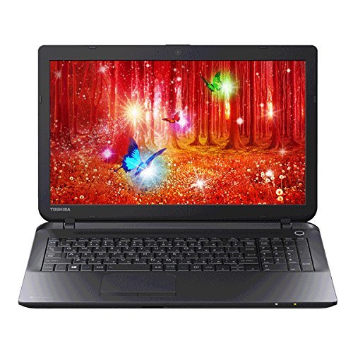 即日発送 【中古】 PB25-66PSPB B25/66PB dynabook その他 - bms