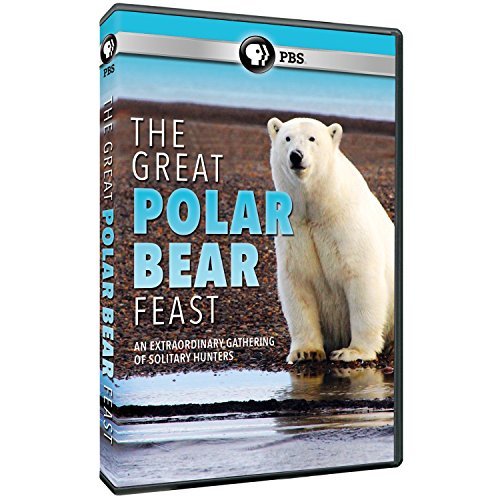春夏新作 Great 【中古】 Polar [輸入盤] [DVD] Feast Bear その他