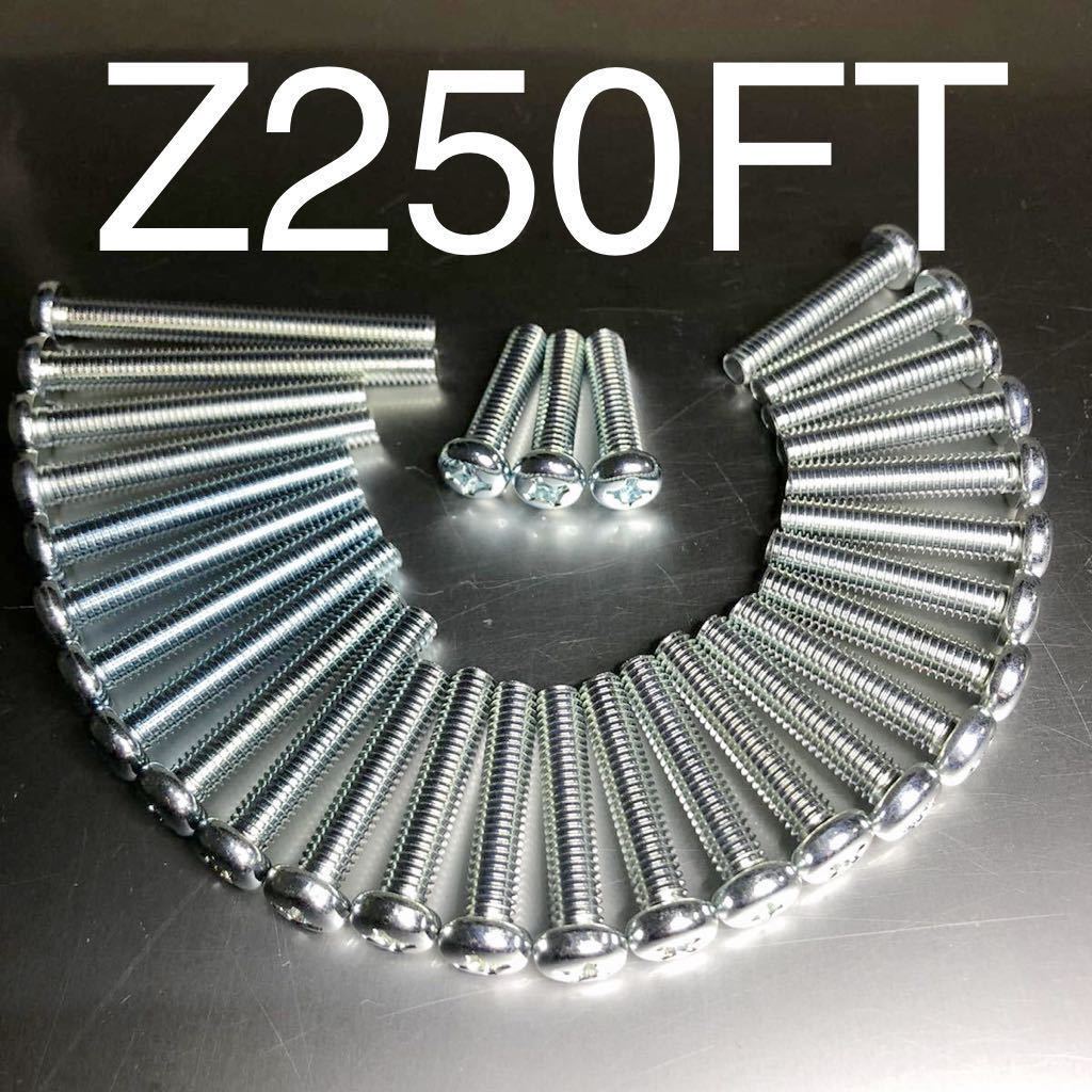 Z250-A 250FT 新品 エンジンカバーボルト 純正互換 スチール製ユニクロメッキ プラスネジタイプ A1 A2 A3 安心の国産！_画像1