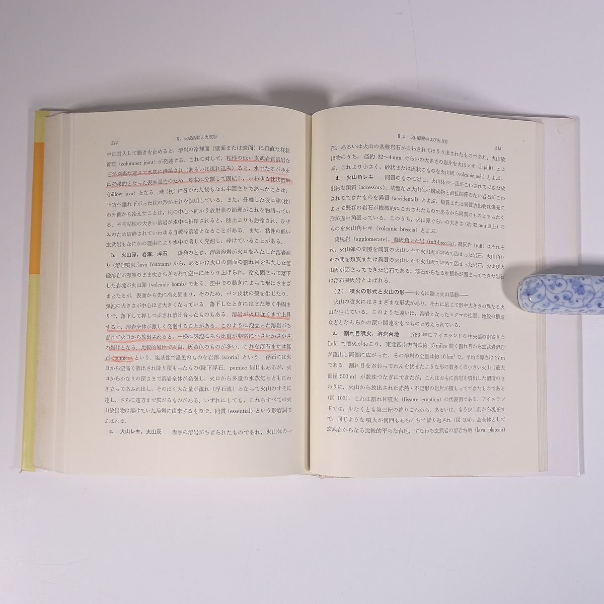 一般地質学 岩生周一 木村敏雄 朝倉書店 1979 単行本 地理 地学 地形 地質 ※線引あり_画像9