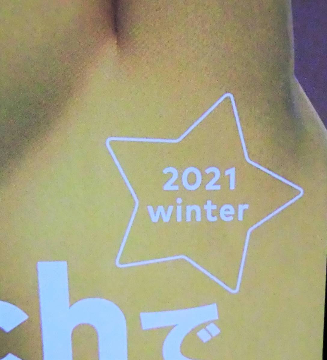 Nintendo Magazine◇ニンテンドーマガジン 2021 winter 冬◇マリパのすすめ◇任天堂◇ポケモン◇ピカチュウ_画像3