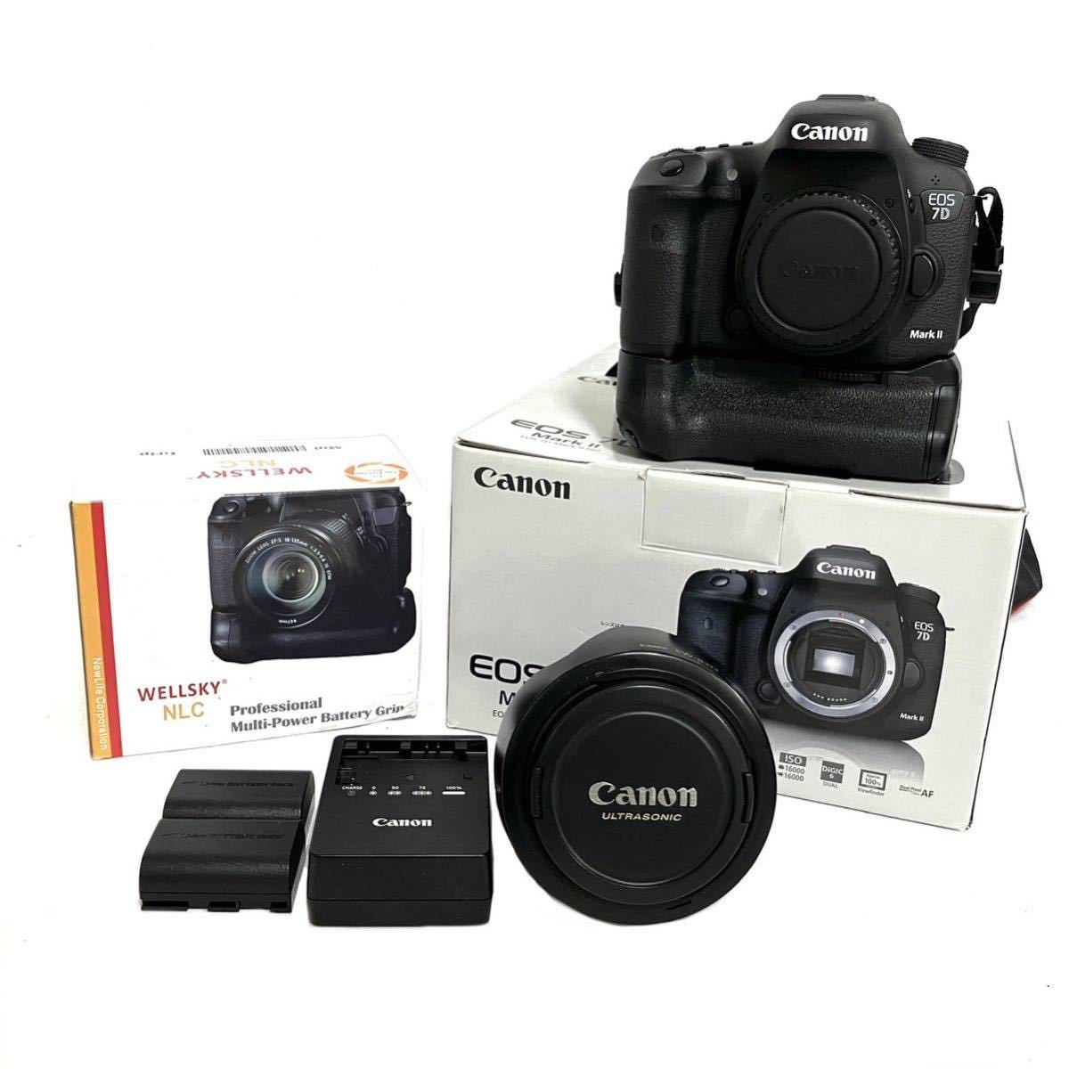 Canon EOS 7D Mark II レンズ EF 24-105mm キヤノン デジタル 一眼レフ