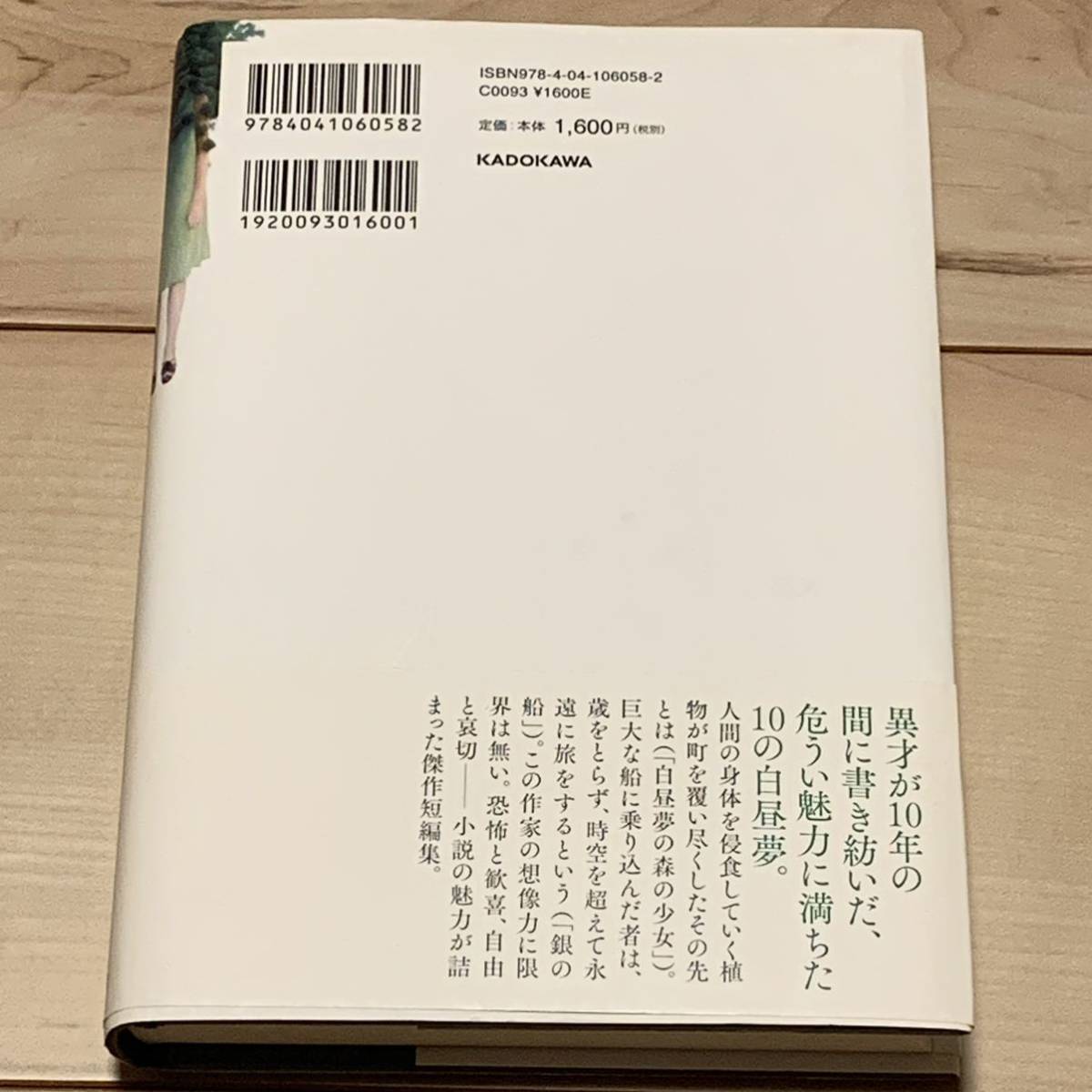 初版帯付 恒川光太郎 白昼夢の森の少女 角川書店刊 ホラーファンタジー