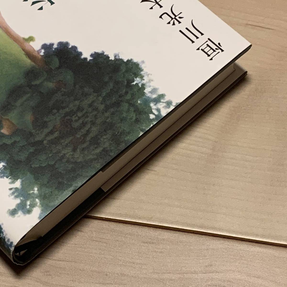 初版帯付 恒川光太郎 白昼夢の森の少女 角川書店刊 ホラーファンタジー