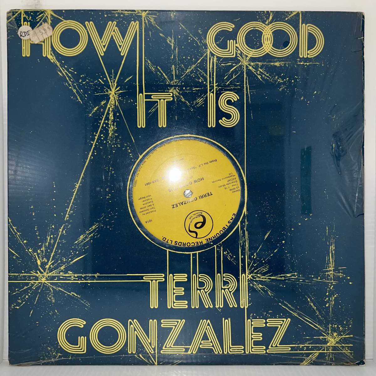 Funk Soul Disco 12 - Terri Gonzalez - How Good It Is - Eastbourne - シールド 未開封