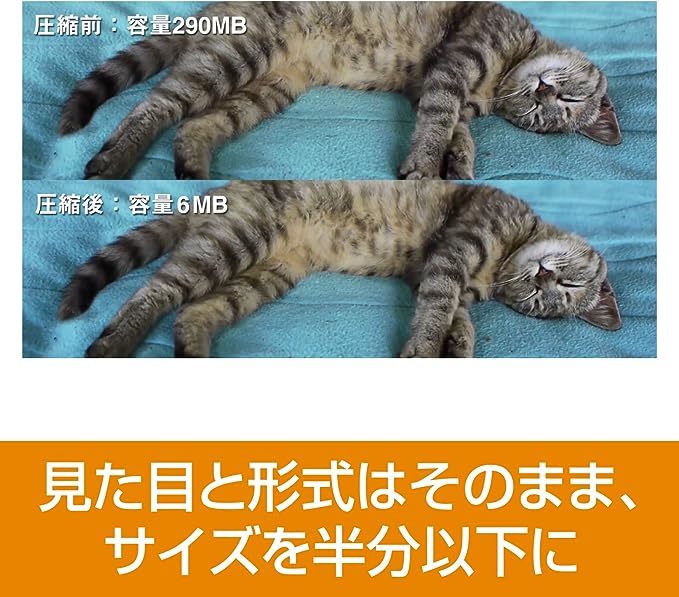 【ダウンロード版】動画圧縮のプロ ソースネクスト パソコン ソフト ソフトウェア Windows 変換ソフトの画像4