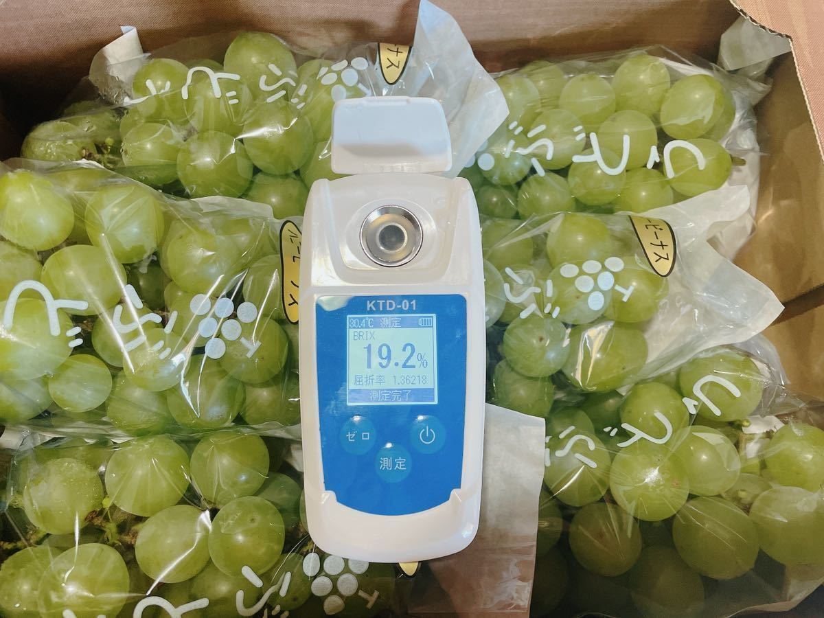 甘ーい!福岡・熊本産 【ハニービーナス】(一箱約2kg4〜6房)【秀品】かめまる食堂14 JChere雅虎拍卖代购 ハニービーナス ぶどう 粒 1kg 送料無料!10