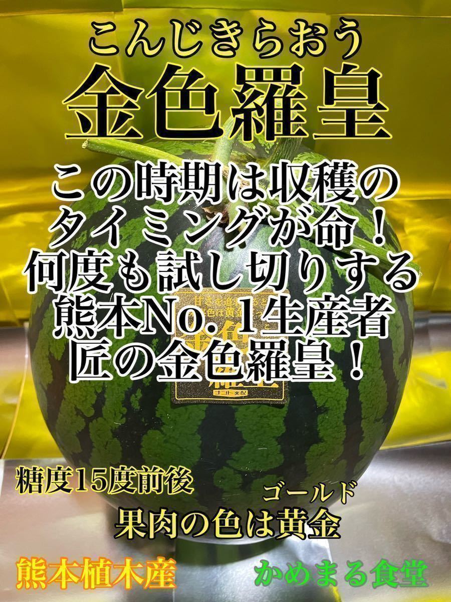 金色祭り!糖度14度以上保証!大玉スイカの最高傑作【金色羅皇】7L