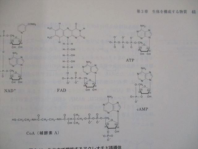 US82-255 京都廣川書店 FUNDAMENTAL細胞生物学 18S1C_画像4