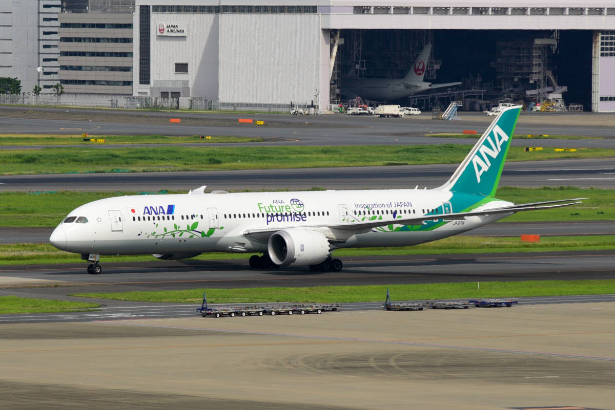  airplane digital image ANAbo- wing 787 green jet 1