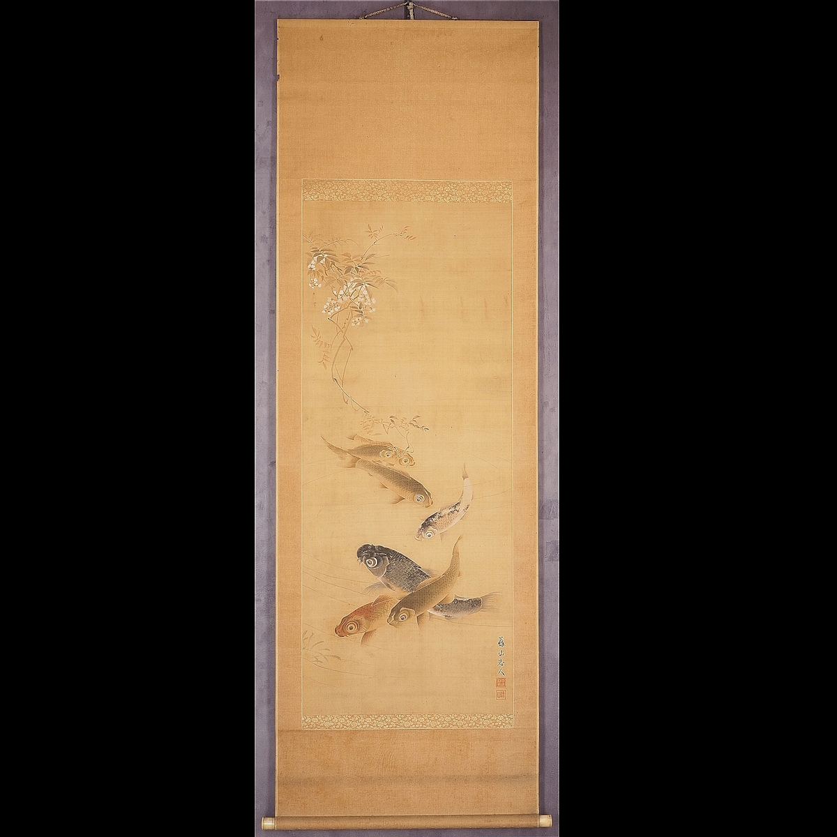 [ genuine work ][. deer .][.... mountain ] 6625 hanging scroll Japanese picture common carp. map . box silk book@ flowers and birds map Kumamoto . after .. mountain 9 ... katsura tree . Zaimei 