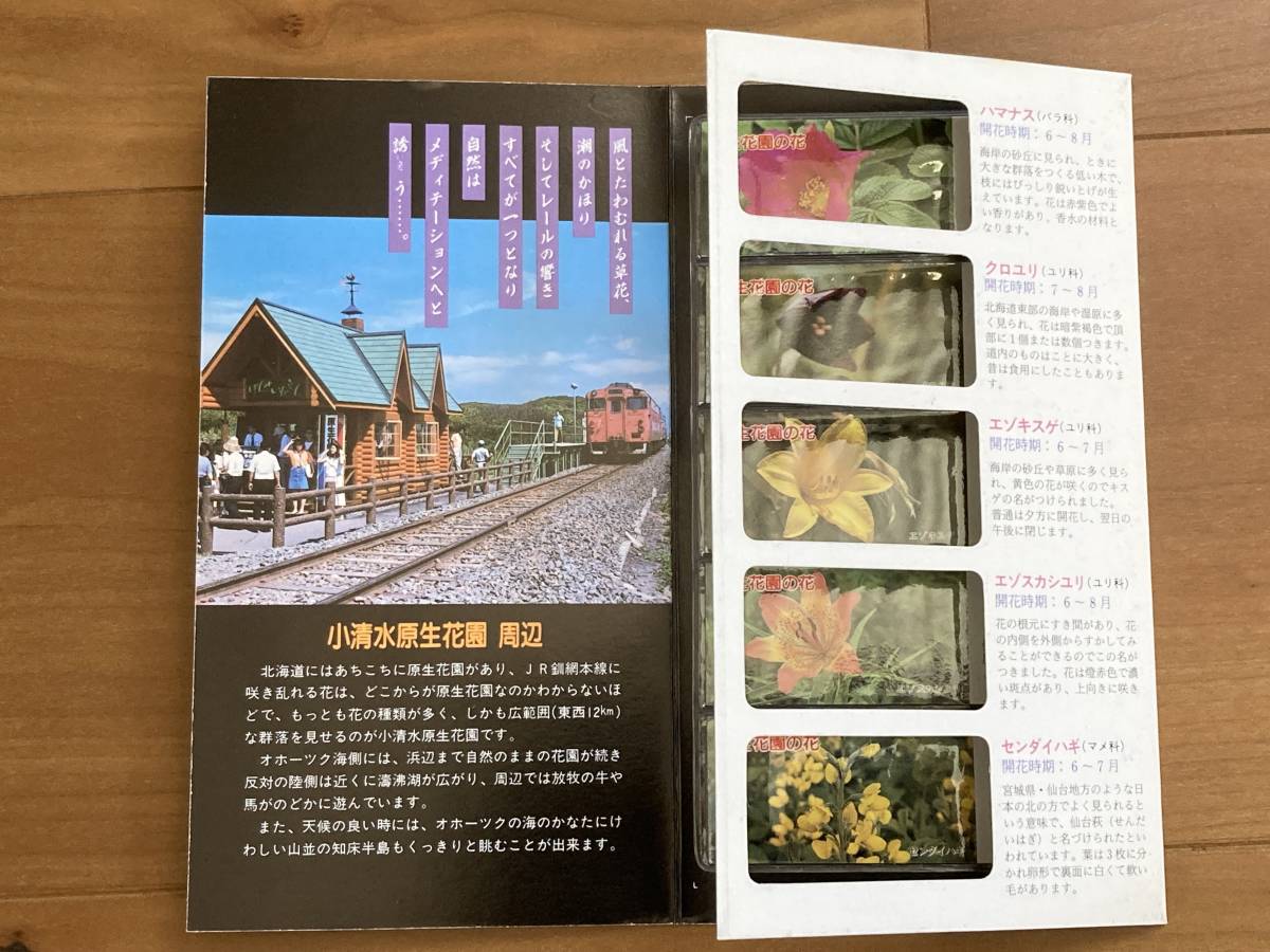 JR北海道 原生花園駅 観光記念入場券5枚 1セット_画像5