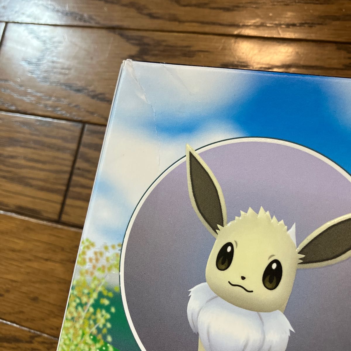 かがやくイーブイ　海外版コレクションbox radiant eevee ポケモンカード プレイマット ピンバッジ