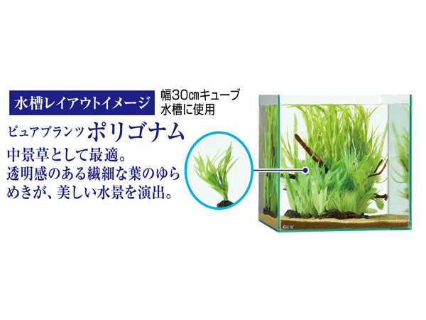 GEX.. water . pure plant poly- gonam tropical fish aquarium fish supplies aquarium supplies accessory jeks