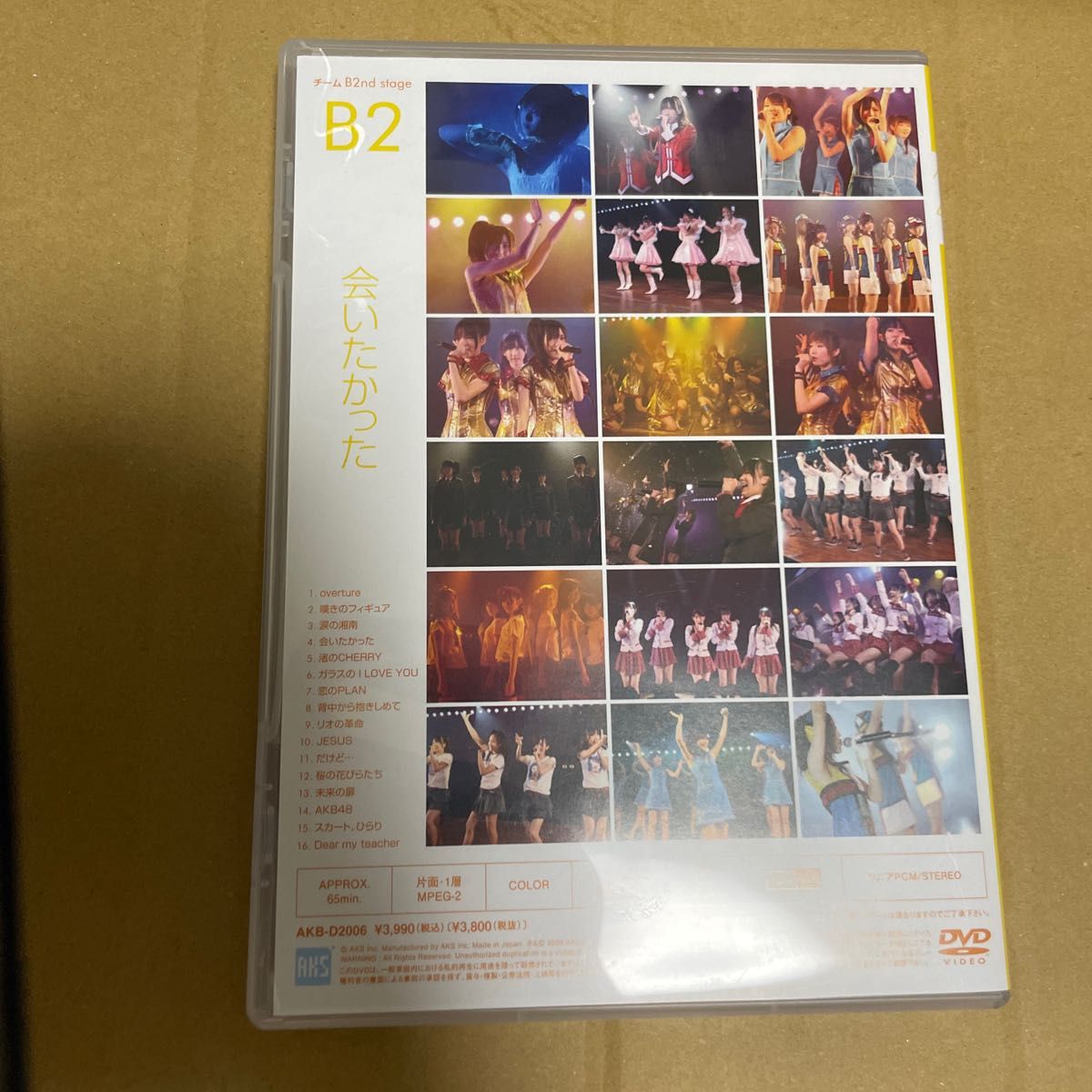 AKB48 チームB 公演DVD 会いたかった 柏木由紀 渡辺麻友 平嶋夏海 多田愛佳 仲川遥香 浦野一美 