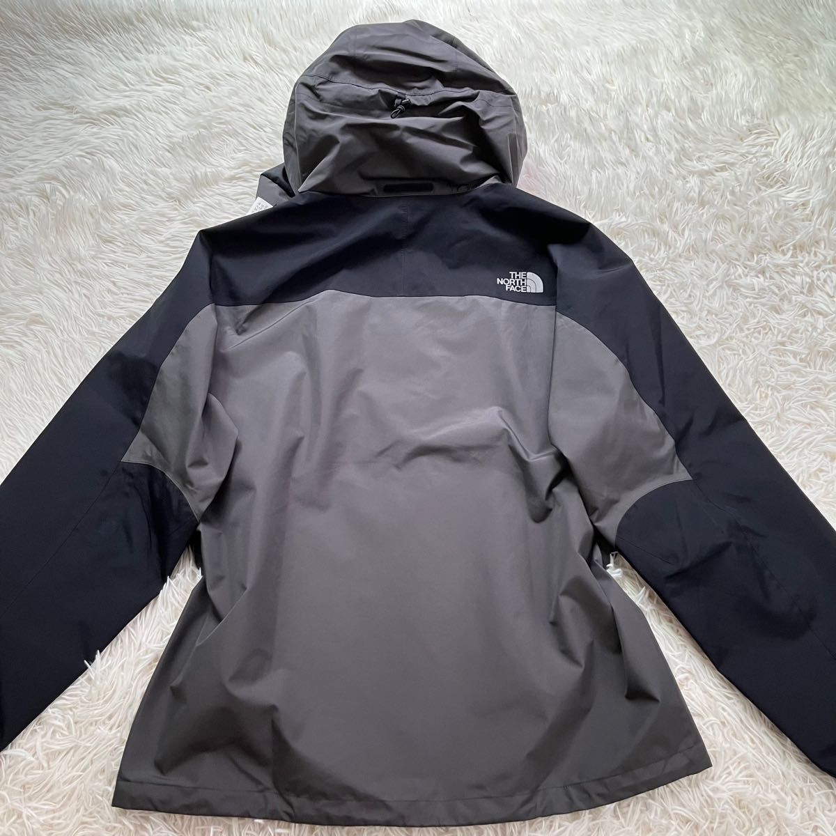 収納袋あり　ノースフェイス　マウンテンレインテックス セットアップ　メンズL THE NORTH FACE ゴアテックス