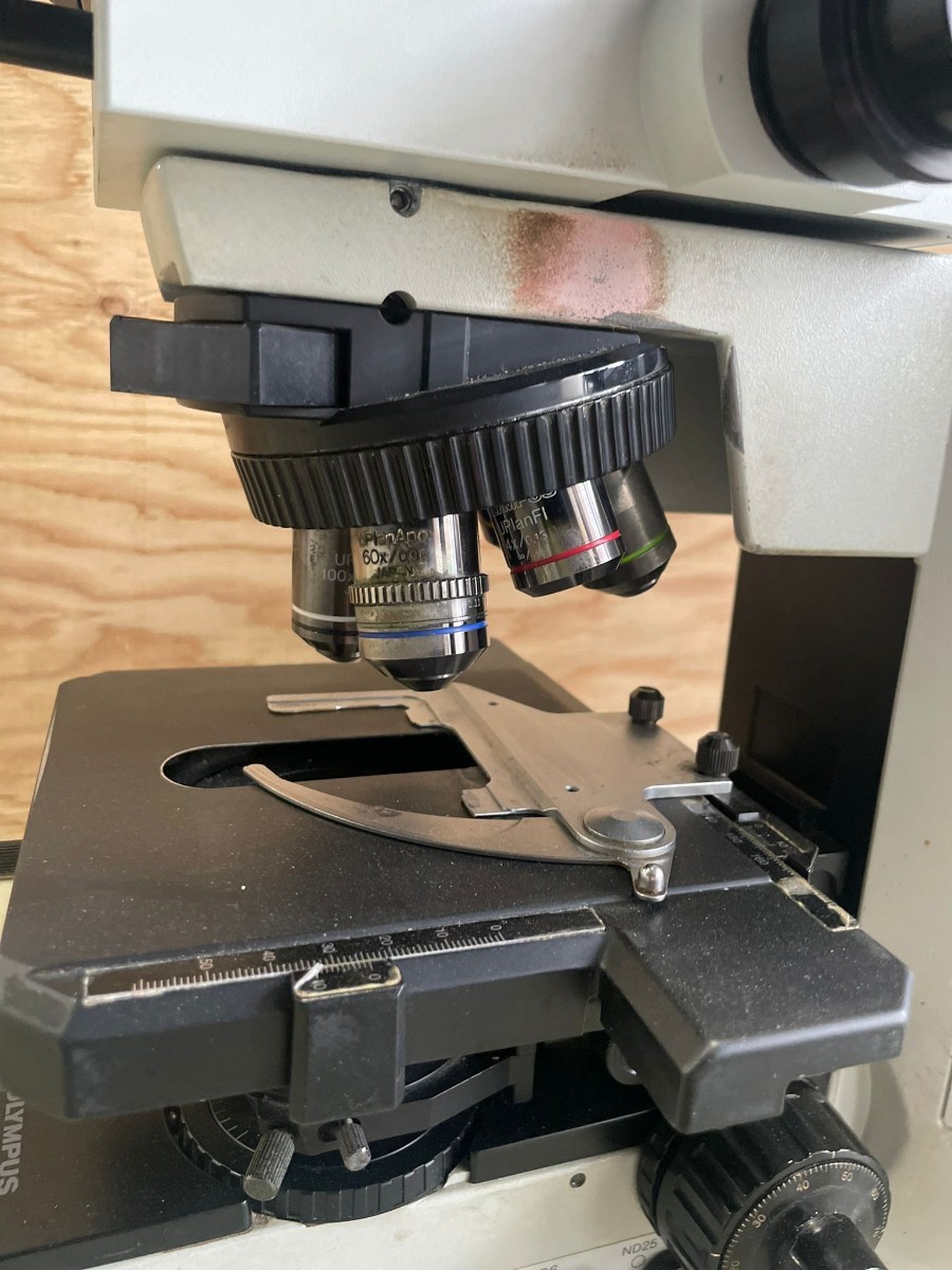 OLYMPUS オリンパス BX50 生物顕微鏡 対物レンズ6つ付き OLYMPUS オリンパス BX50 生物顕微鏡 対物レンズ6つ付き