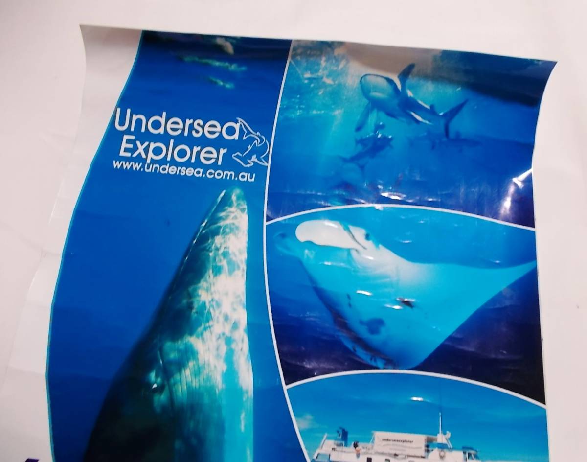 ダイビング ポスター★42×30cm/ブルー★Undersea Explorer★グレートバリアリーフ/オーストラリア★GBR/AUSTRALIA★_画像5