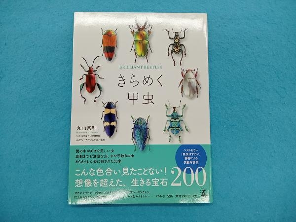  fine clothes ... insect Maruyama . profit 