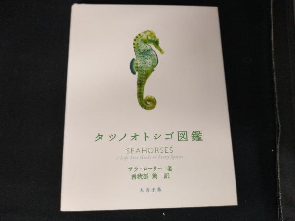  seahorse illustrated reference book Sara * lorry 