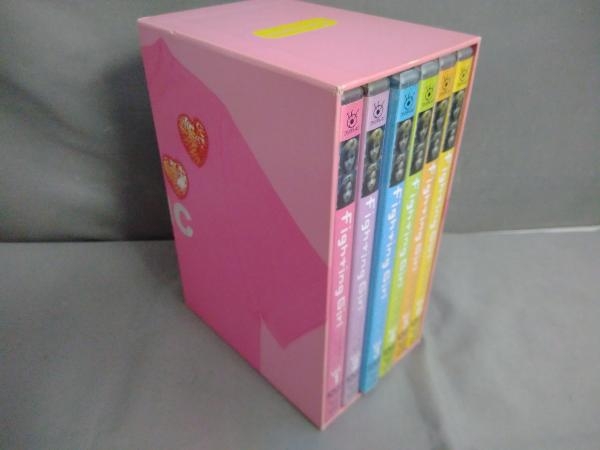 DVD ファイティングガール DVD BOX_画像2