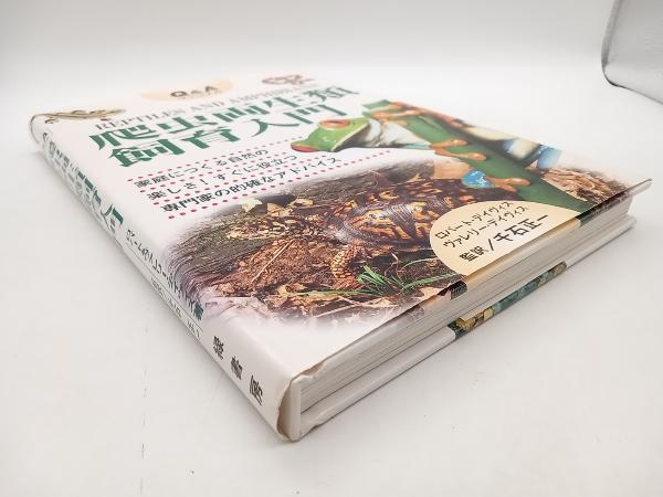 Q&A manual . insect amphibia breeding introduction Robert Davis green bookstore store receipt possible 