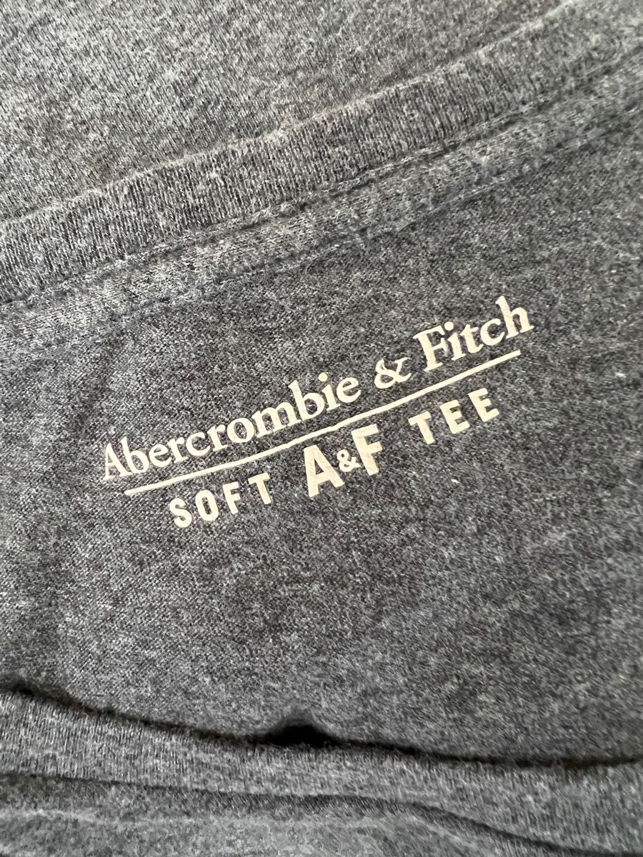 Abercrombie & Fitch ソフト 半袖Tシャツ　アバクロンビー&フィッチ 