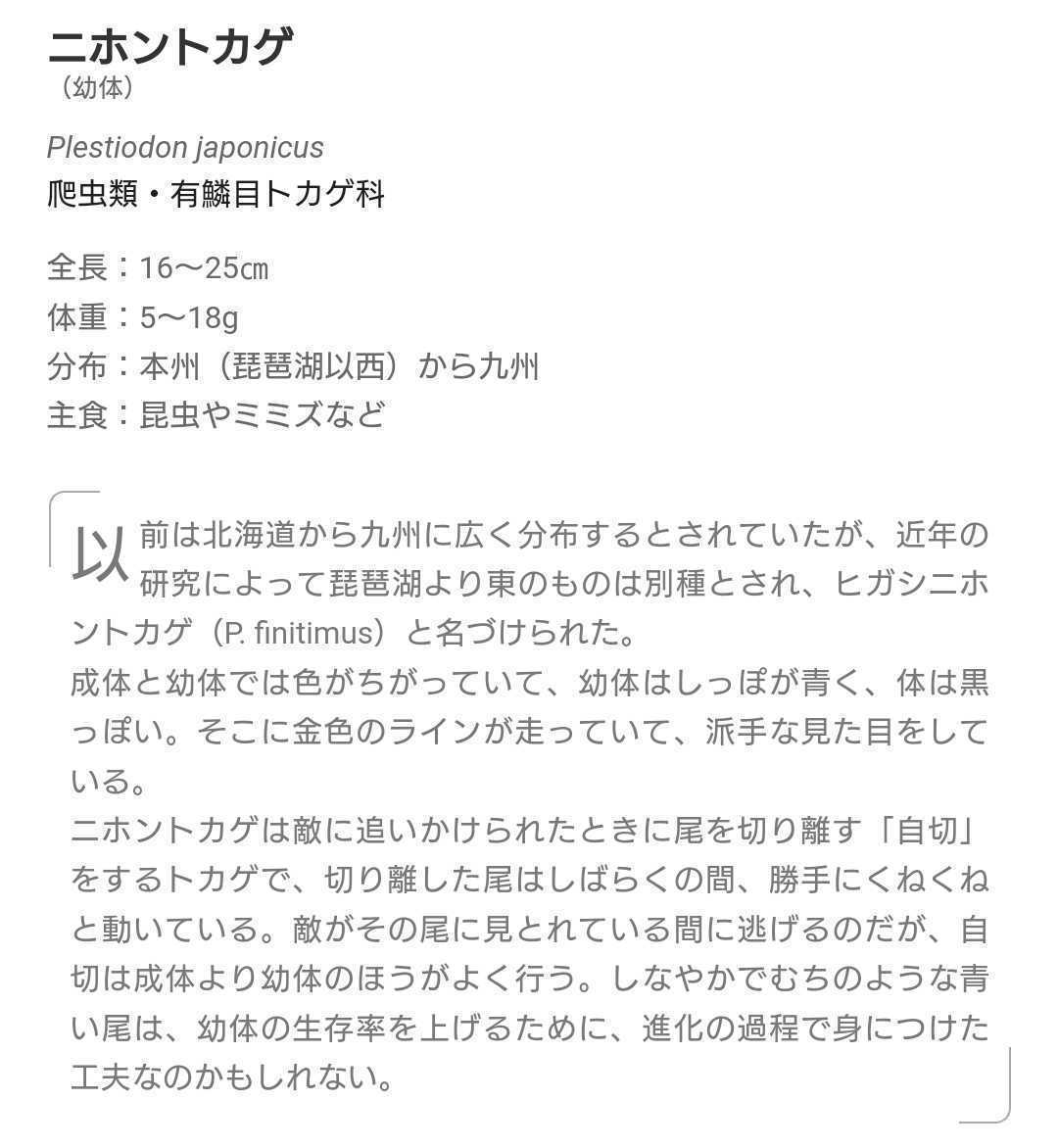 ネイチャーテクニカラーMONO いきもん トカゲ・ヤモリ ニホントカゲ(幼体)のマグネットタイプ １個300円のガチャ 2022年夏購入 _画像10