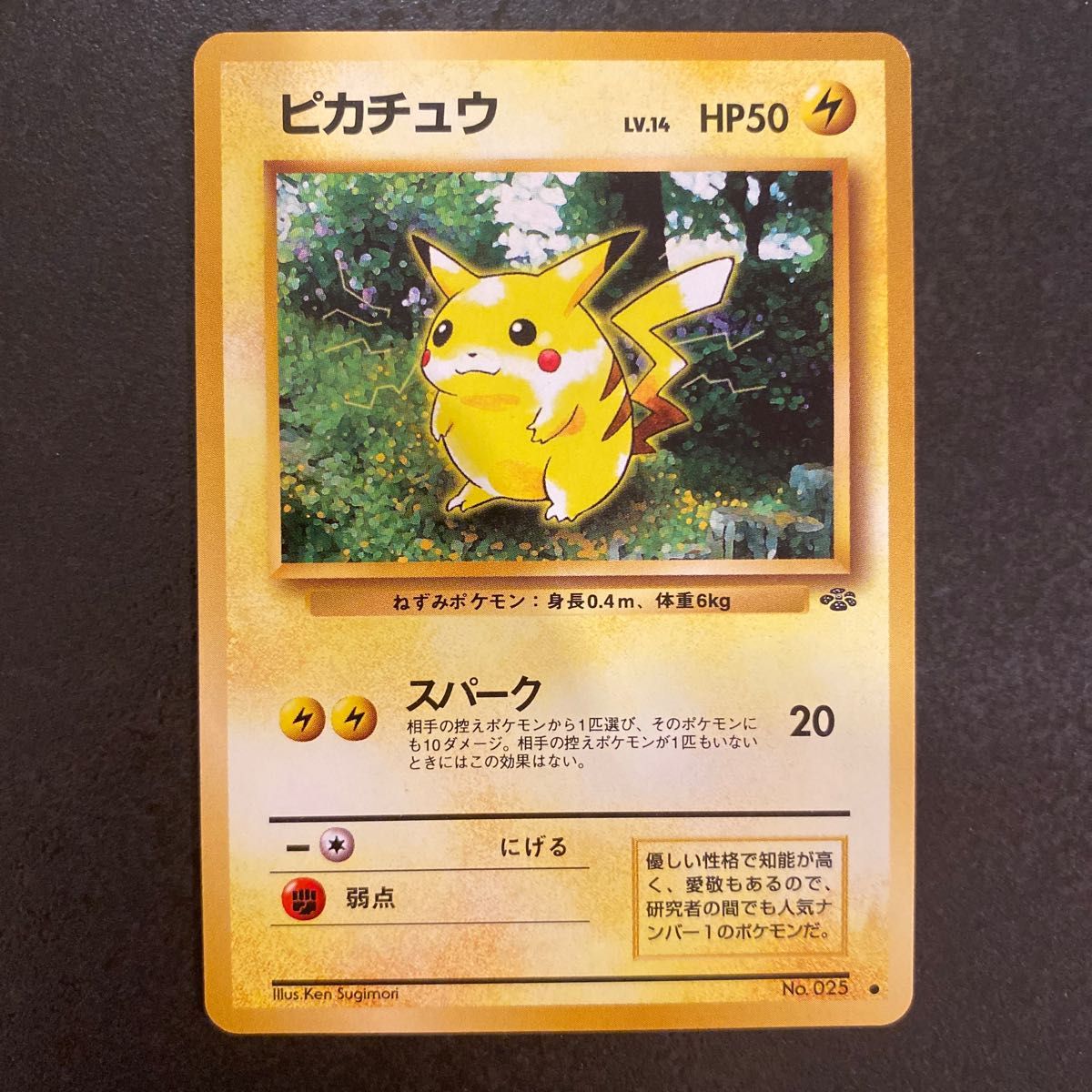 ピカチュウ ライチュウ ポケモンカード 旧裏 ポケカ キラカード ピカチュウ ライチュウ ポケモンカード 旧裏 ポケカ キラカード