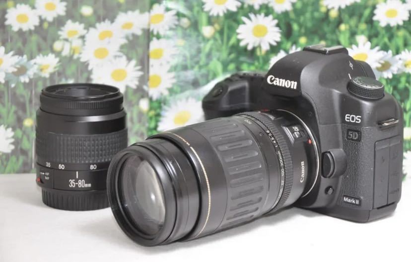 Canon キャノン EOS 5D MarkIIダブルレンズ フルサイズ Yahoo!フリマ