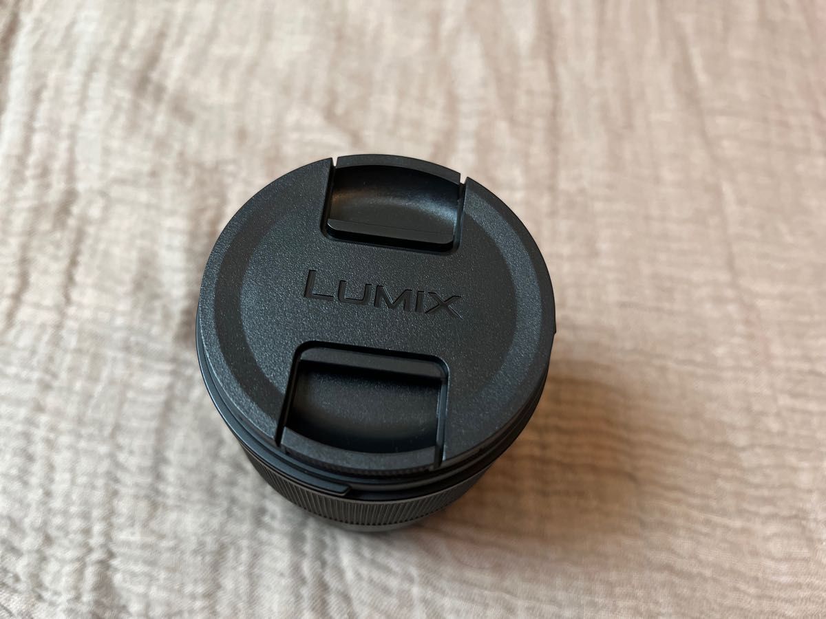 Panasonic LUMIX S5Ⅱ 本体/レンズS-S50 LUMIX S 50mm F1.8