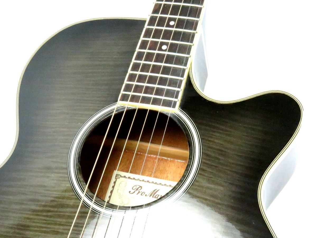 pro martin プロ マーティン EA 500 虎杢 カスタム エレアコ pro martin プロ マーティン EA 500 虎杢 カスタム エレアコ