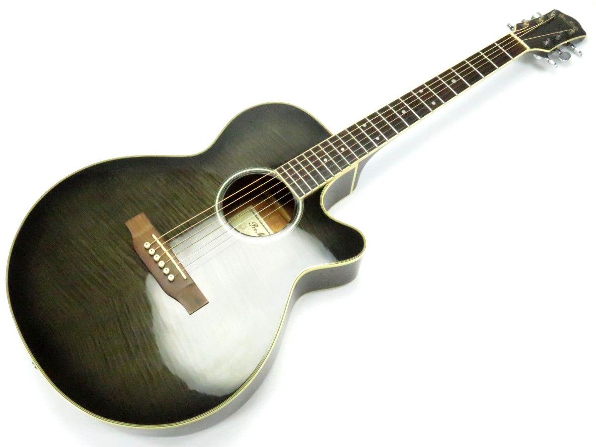 pro martin プロ マーティン EA 500 虎杢 カスタム エレアコ pro martin プロ マーティン EA 500 虎杢 カスタム エレアコ