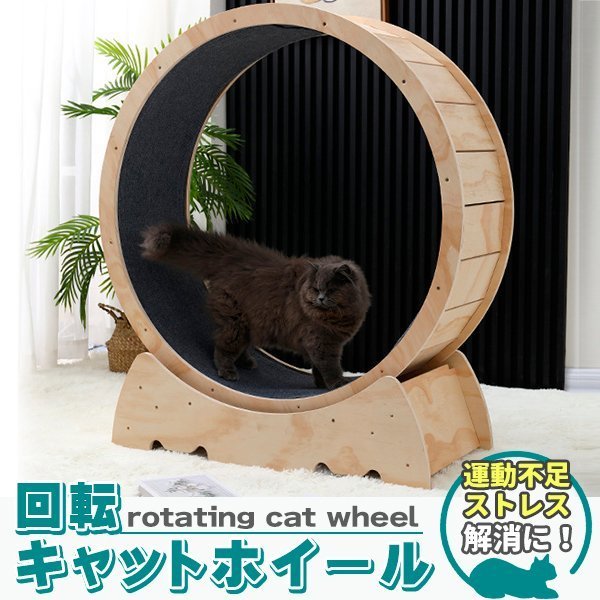 キャットホイール 猫専用ルームランナー 猫 回し車 猫ホイール 室内運動用 ホイール ローラー 自走式 ルームランナー【2025 カレンダーの人気アイテム】 