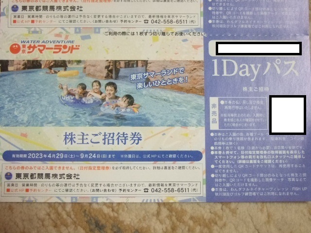 人気沸騰ブラドン 速達可能翌日到着 1枚 東京サマーランド株主優待券