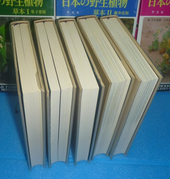 植物1981-1989『日本の野生植物 草本Ⅰ～Ⅲ，木本Ⅰ～Ⅱ（全5巻）』 平凡社_画像6