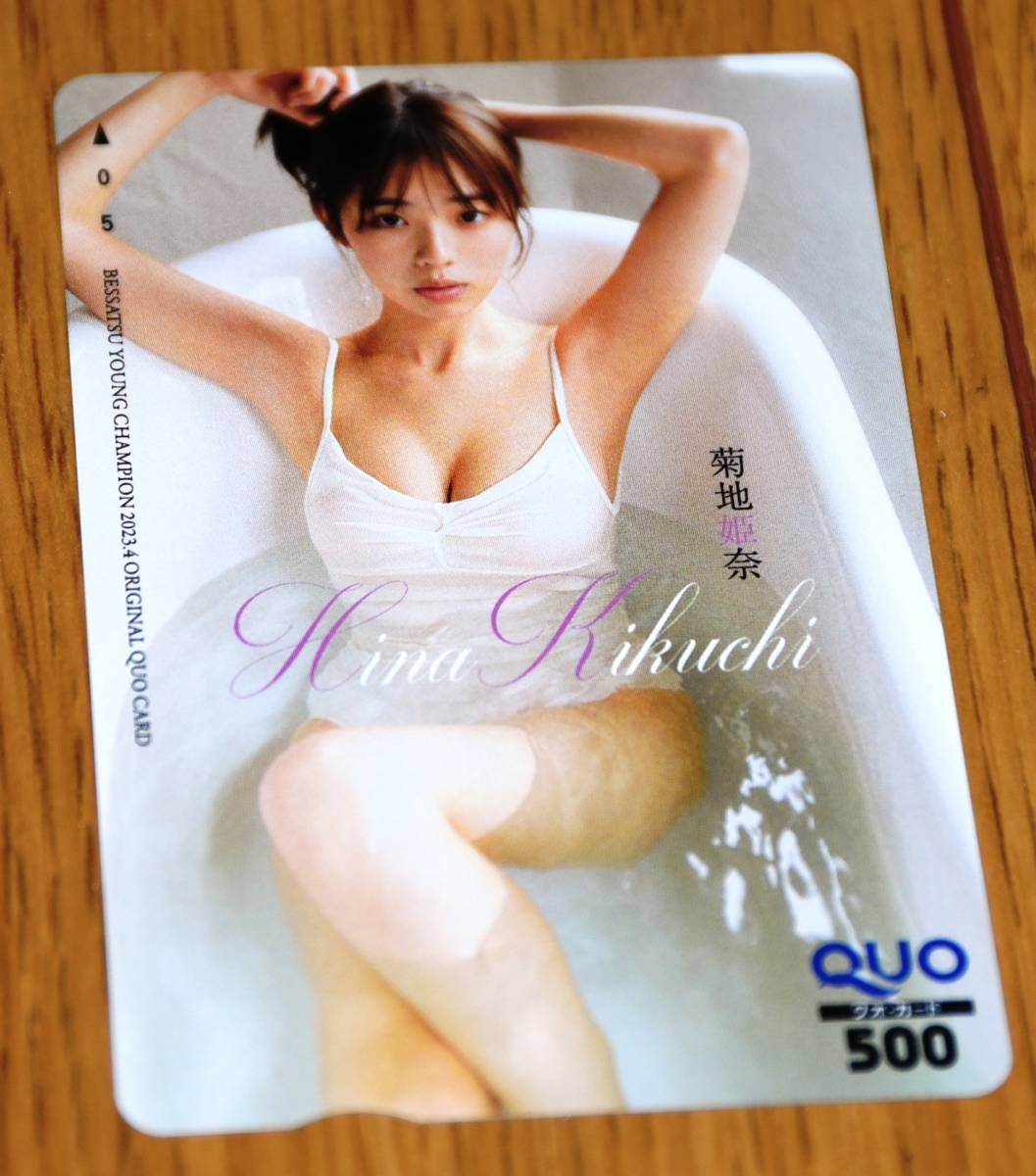 マーボーちゃん様専用 菊地姫奈 別冊ヤングチャンピオン 当選品 買激安