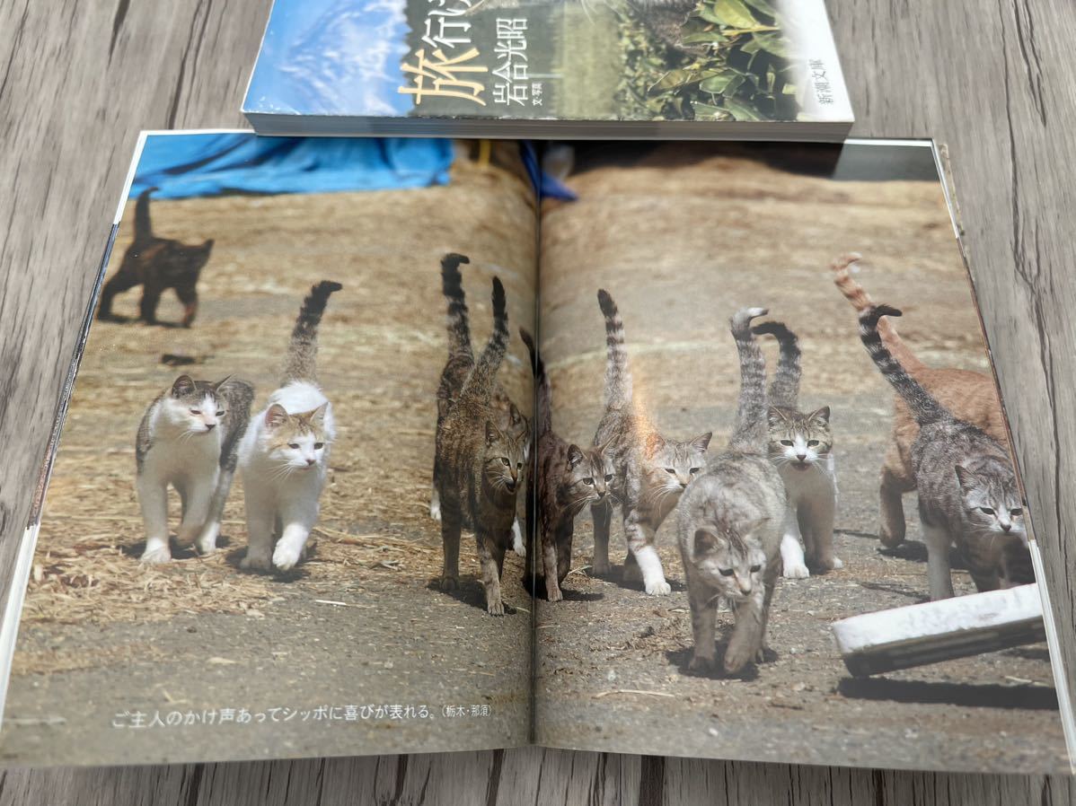  travel .. cat rock . light .. cat two pcs. photoalbum essay . publication text . photo art ... Shincho Bunko 