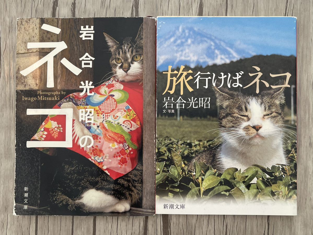  travel .. cat rock . light .. cat two pcs. photoalbum essay . publication text . photo art ... Shincho Bunko 