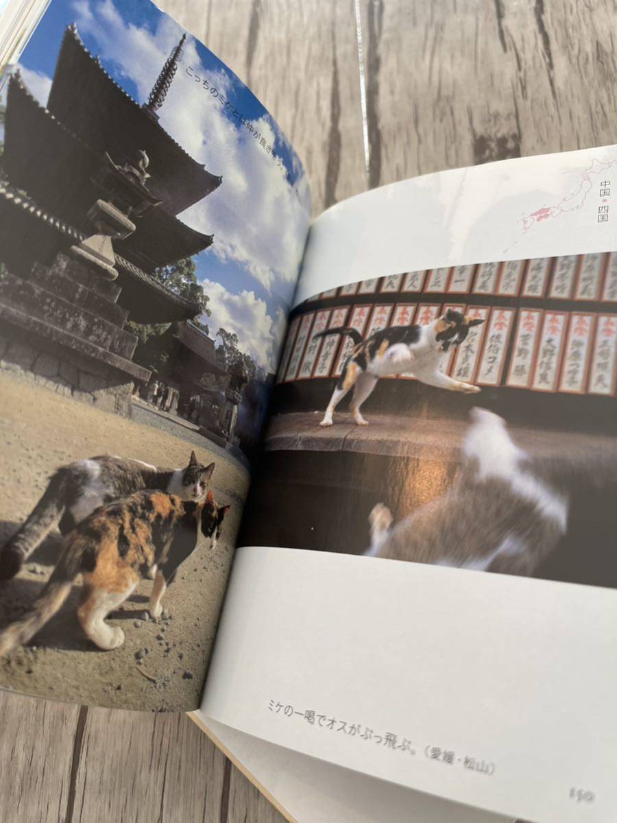  travel .. cat rock . light .. cat two pcs. photoalbum essay . publication text . photo art ... Shincho Bunko 