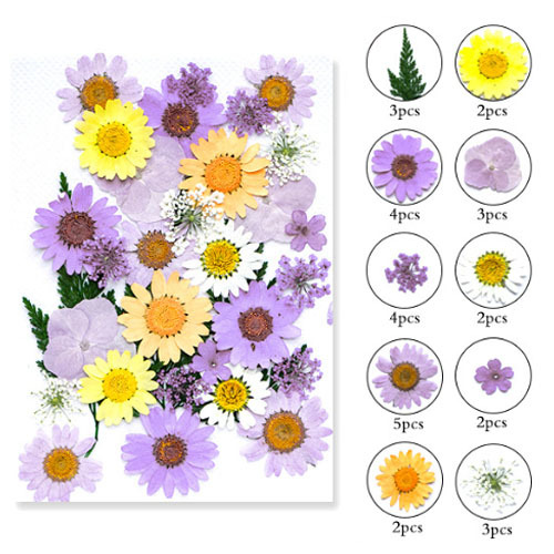  этот день отправка засушенный цветок Mix лиловый * orange * желтый 14×10cm размер 1 листов 2209 pf25