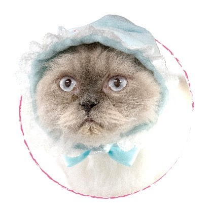 人形の帽子 ぬいぐるみの帽子 猫の帽子 水色 しっかりした素材です ボンネット アウトフィット 洋服 ブライス プーリップ カスタムドール_画像1