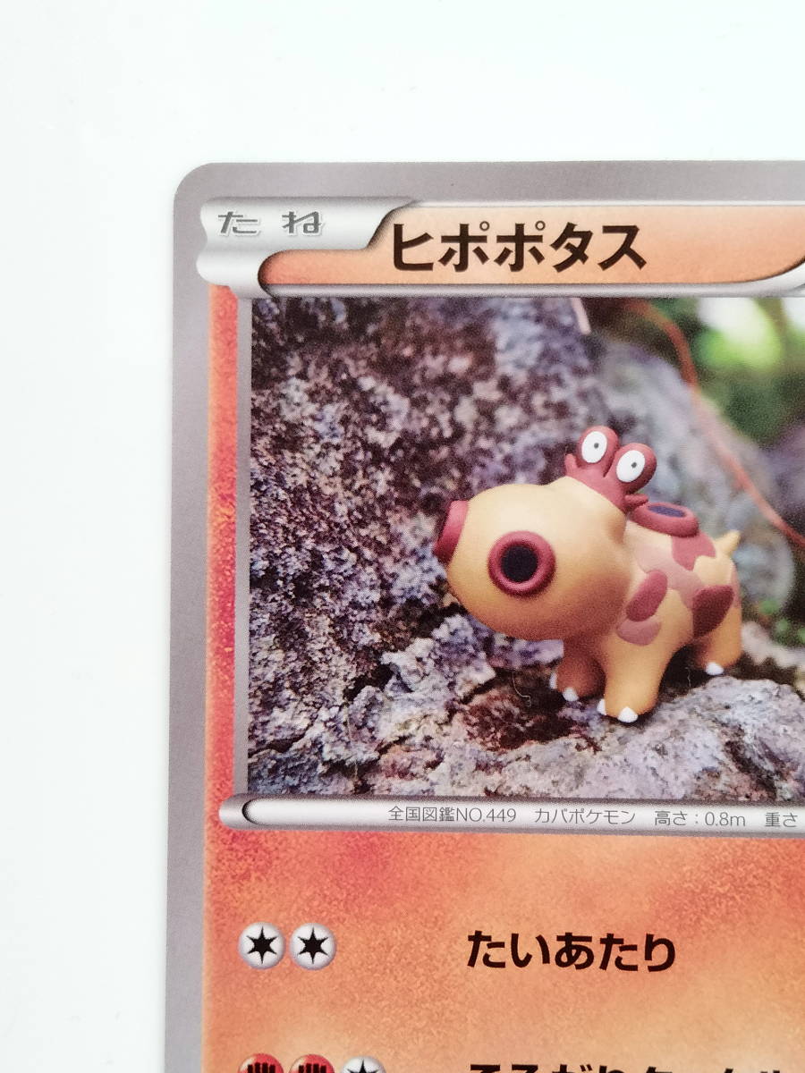 ポケモンカード　ヒポポタス　(159/XY－P)　大会プロモ　美品/Hippopotas/Pokemon Card　レア　RARE　即スリーブ保管_画像4