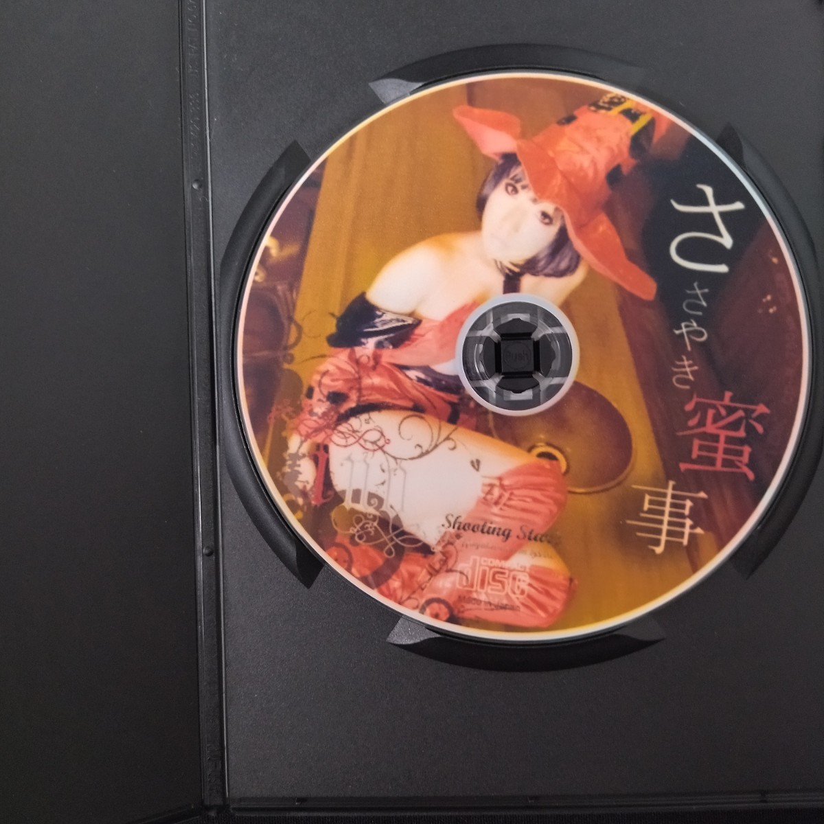 CD 写真集 コスプレ デジタル写真集 同人 CD-ROM ささやき蜜事　INO イメージ_画像3