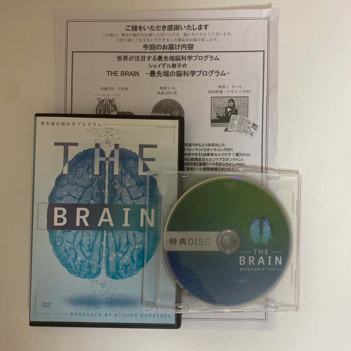 24時間以内発送!整体DVD【THE BRAIN 最先端の脳科学プログラム】シェイデル敦子★手技DVD 整骨 治療院マーケティング研究所