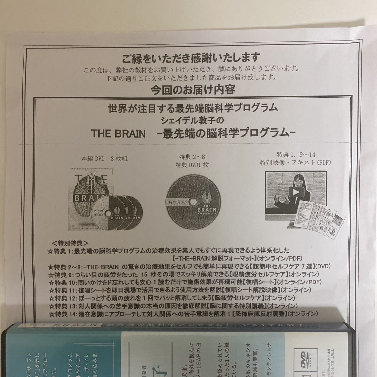 24時間以内発送!整体DVD【THE BRAIN 最先端の脳科学プログラム】シェイデル敦子★手技DVD 整骨 治療院マーケティング研究所