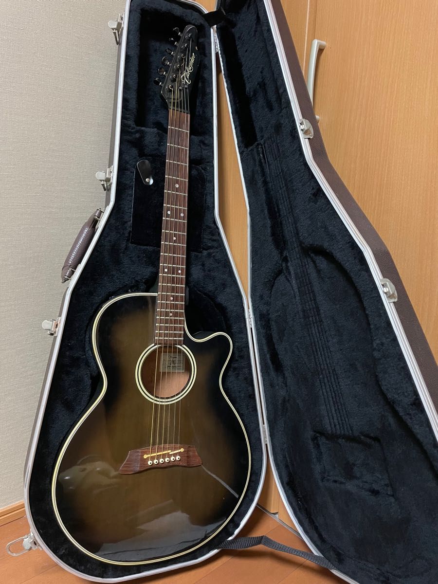 TAKAMINE PT-106-6 6連シングルヘッド仕様　長渕剛 純正アコギハードケース付属