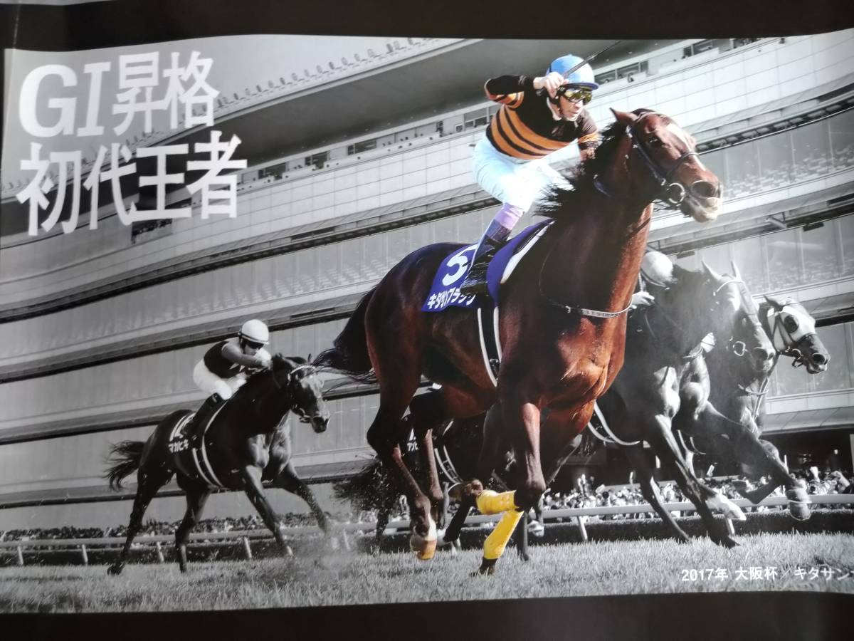 阪神競馬場特大ポスター新品_画像6