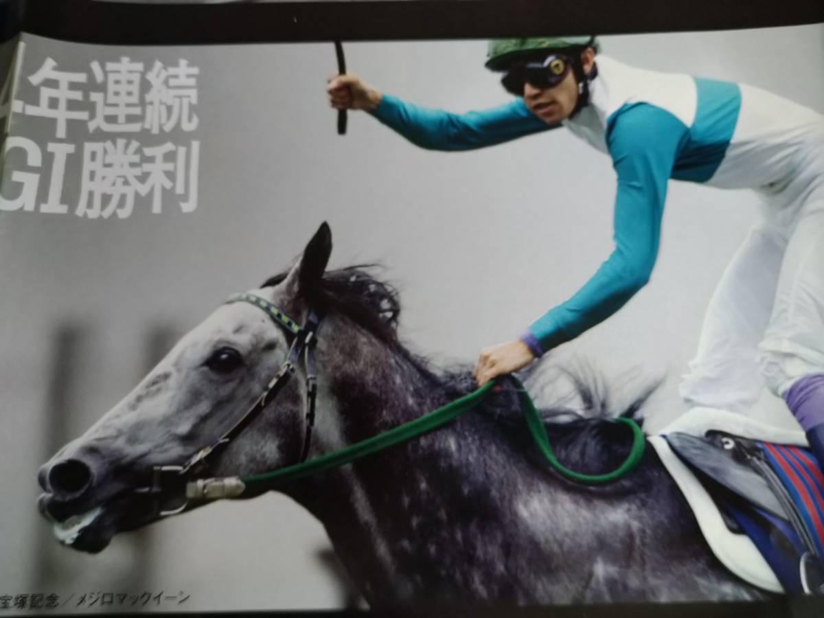 阪神競馬場特大ポスター新品_画像5